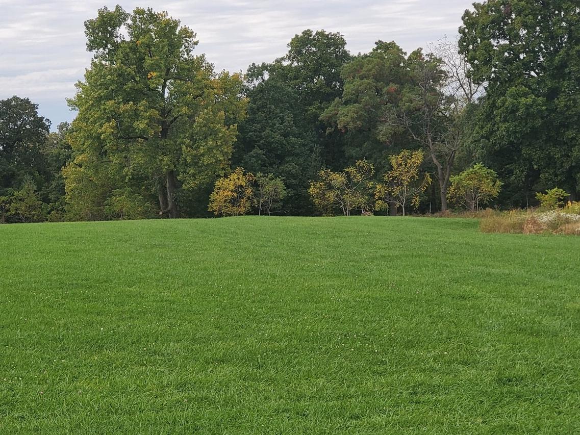 000 Howlett Rd., Paw Paw, IL 61353