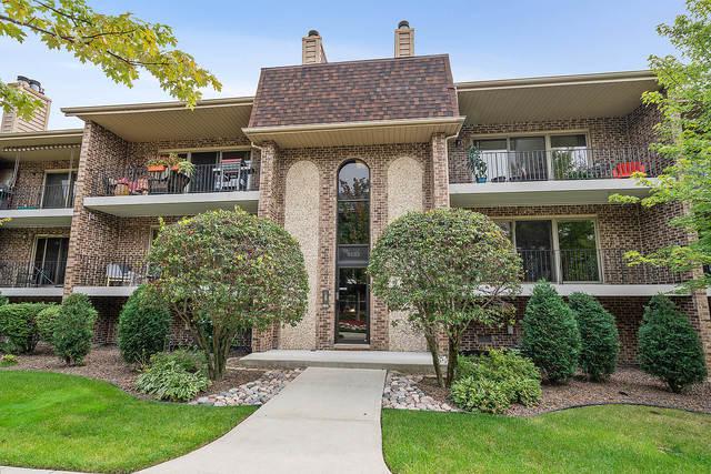 9133 Del Prado Dr. #2S, Palos Hills, IL 60465