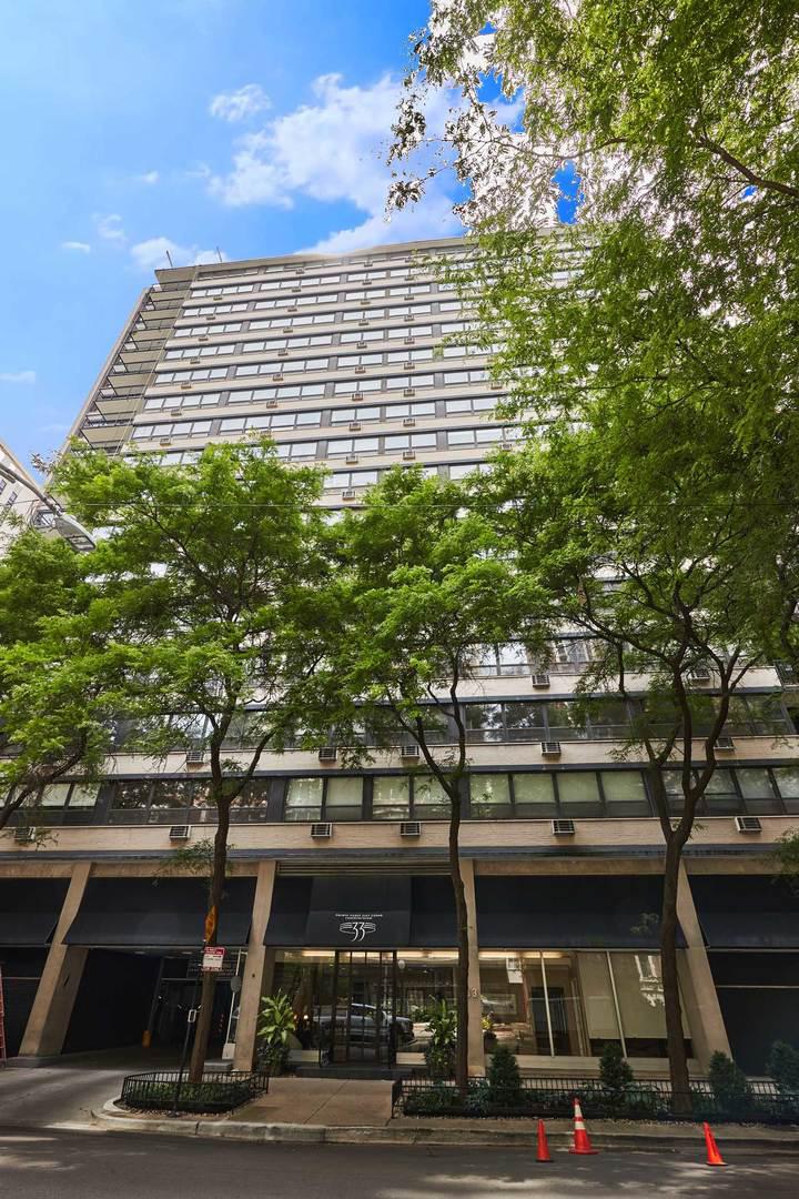 33 E Cedar St. #5A, Chicago, IL 60611
