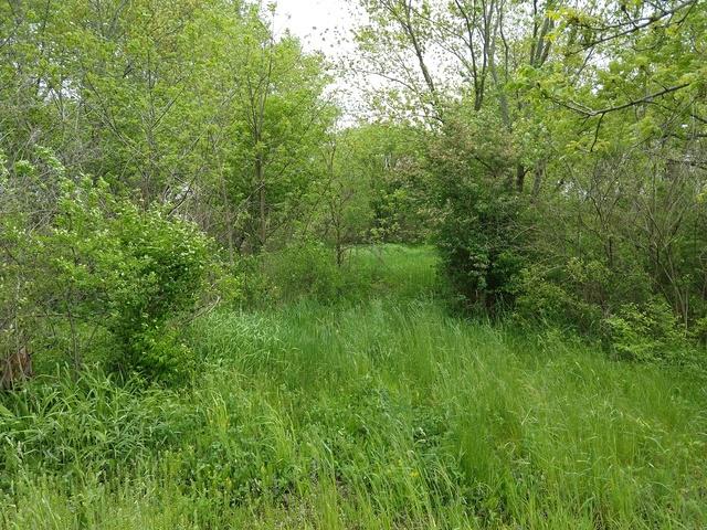 000 Hawthorn Rd., Marengo, IL 60152