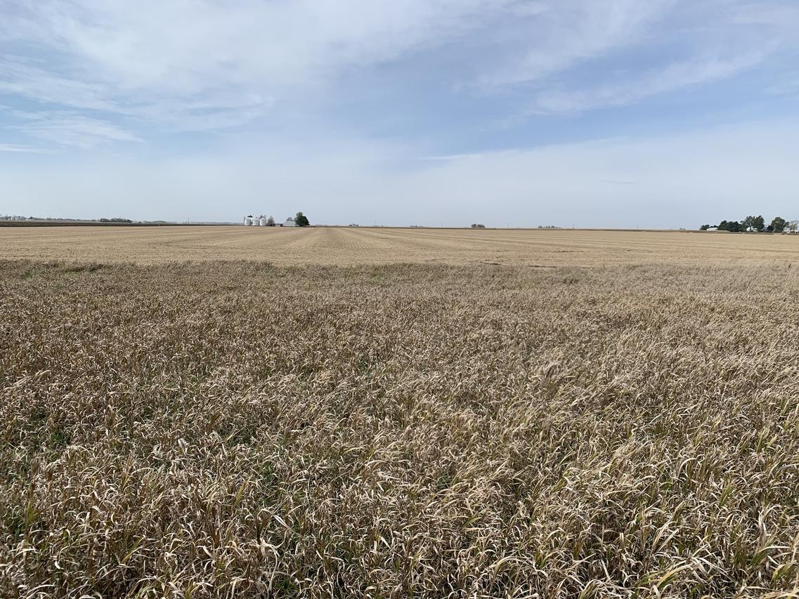 1700E North Rd., Piper City, IL 60959