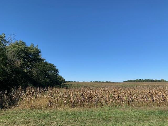 [Address Hidden by Seller], Mahomet, IL 61853