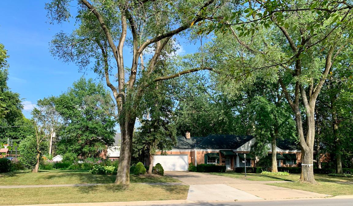 919 S Madison St., Hinsdale, IL 60521