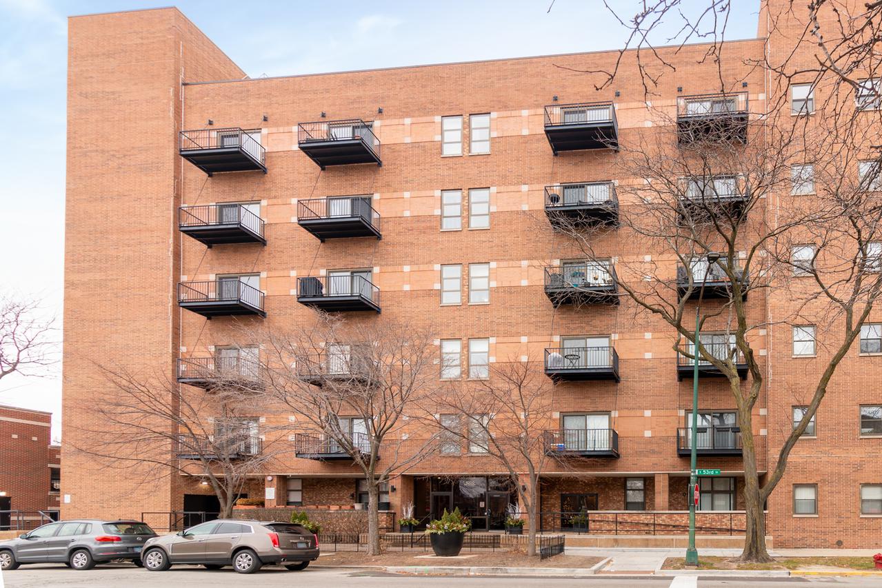 1000 E 53rd St. #519S, Chicago, IL 60615