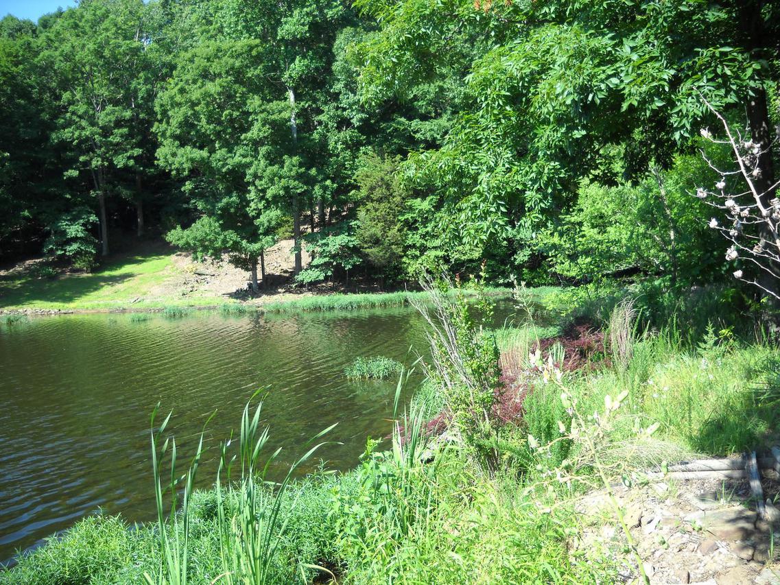 13 Sugar Creek Rd., Goreville, IL 62939