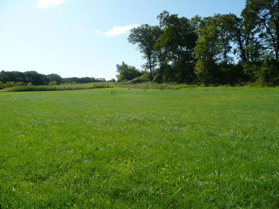 xxx N Rink Rd., Lena, IL 61048