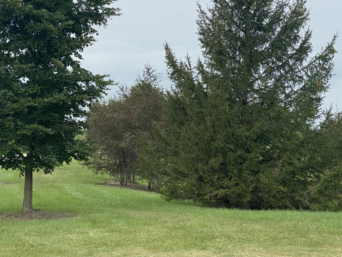Lot 46 Prairie Valley Dr., St. Charles, IL 60175