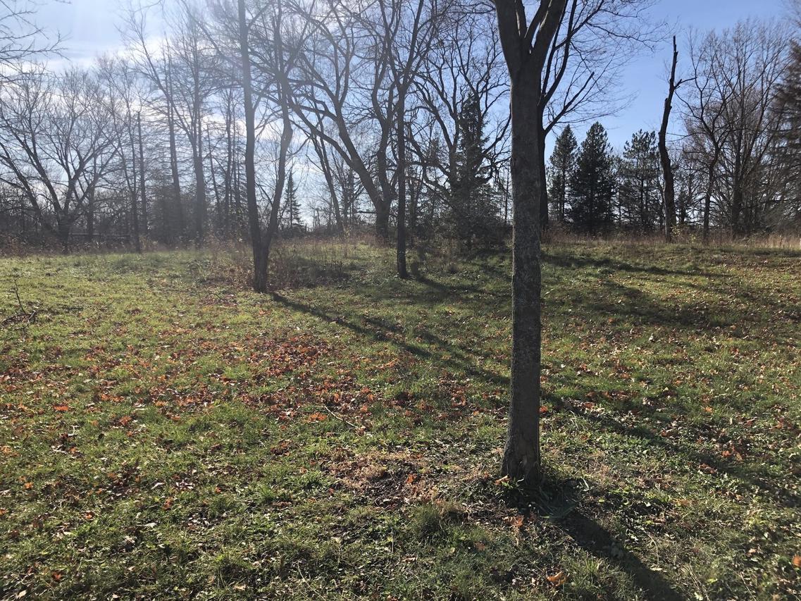 Lot 10 Abbey Woods Dr., Barrington Hills, IL 60010