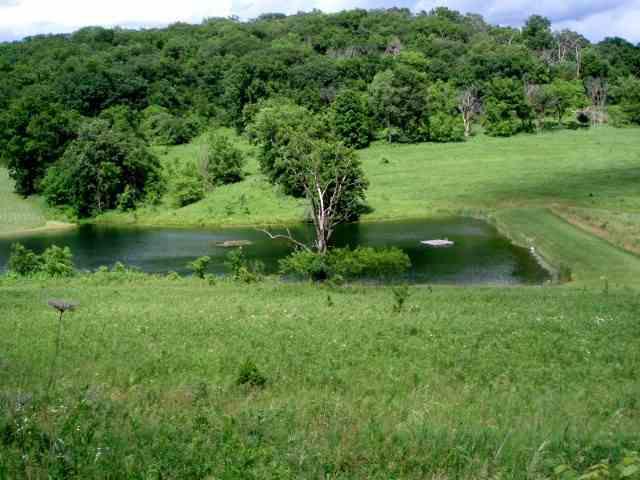 2424 W Morley Rd., Elizabeth, IL 61028