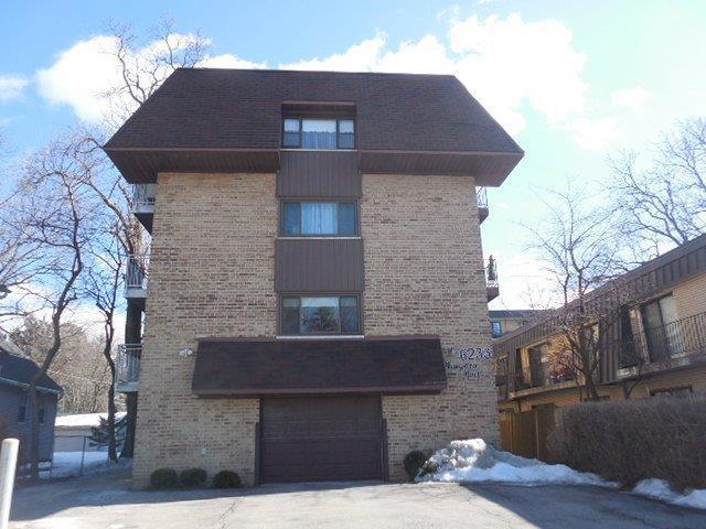 6233 N Niagara Ave. #3D, Chicago, IL 60631