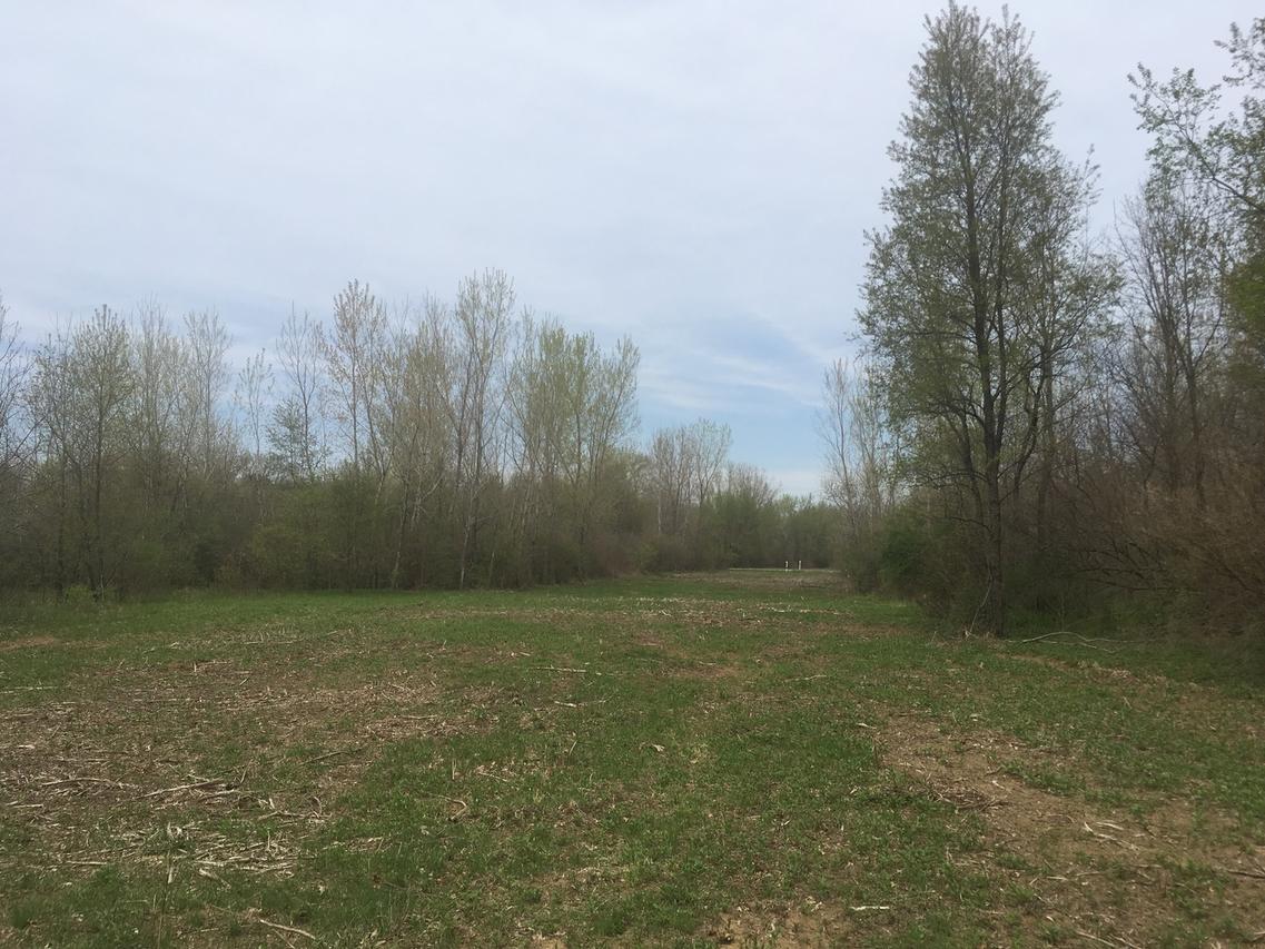 35160 Zilm Rd., Wilmington, IL 60481