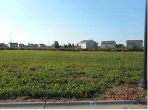 1037 Pauline Pl., Plano, IL 60545