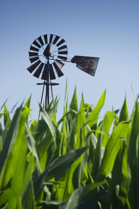 3100 N 1700 East Rd., Blackstone, IL 61313