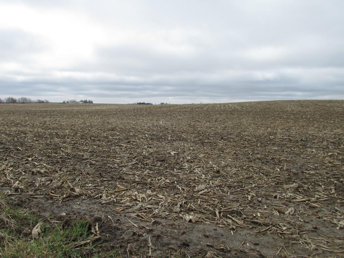 000 Chicago Rd., Paw Paw, IL 61353