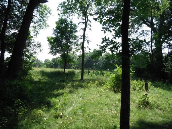 76&77 Lake Thunderbird Dr., Putnam, IL 61560