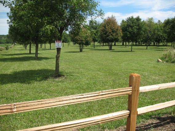 New Homes For Sale This Week in Elburn: April 23rd to April 29th