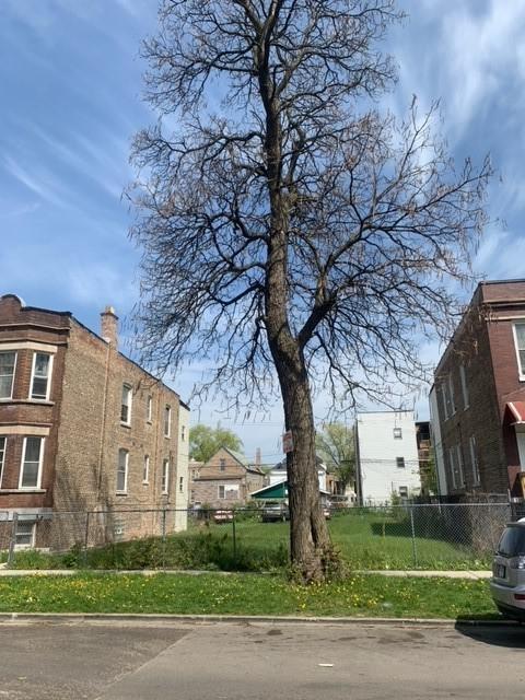 1823 S Springfield Ave., Chicago, IL 60623