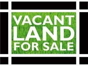 2358 W 18th Pl., Chicago, IL 60608