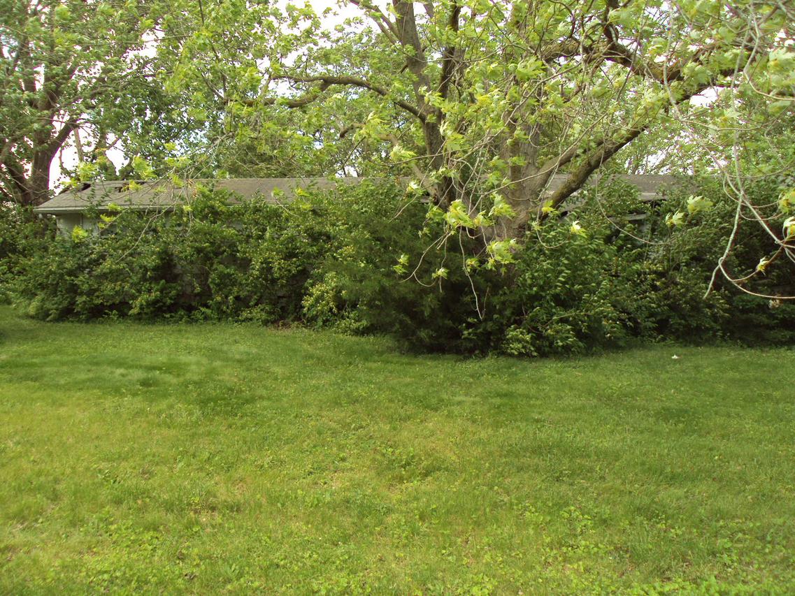 704 W Frederick St., Thomasboro, IL 61878