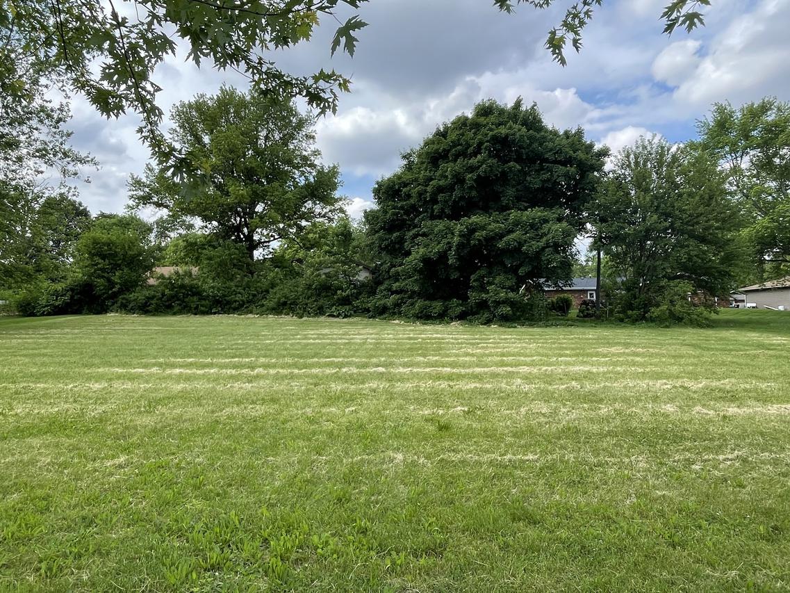 partial lots 15 & 16 High St., Farmer City, IL 61842