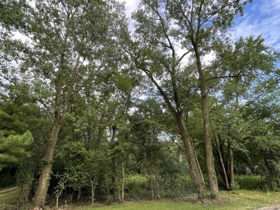 Lot 412 Woodland Ave., West Chicago, IL 60185