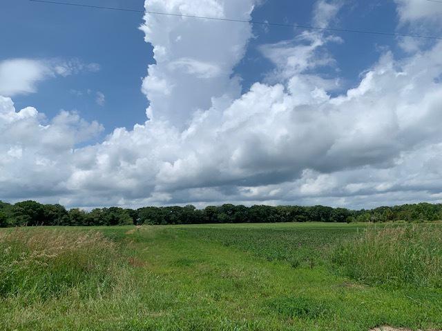 Parcel L Klemme Rd., Beecher, IL 60401