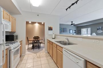 390 W Mahogany Ct. #305, Palatine, IL 60067