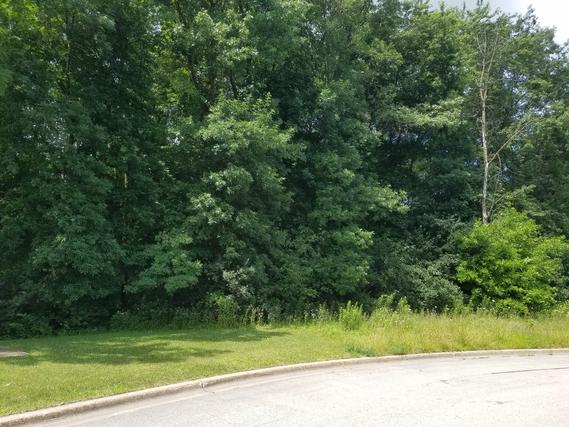 Lot #86 Merry Oaks Dr., Sycamore, IL 60178