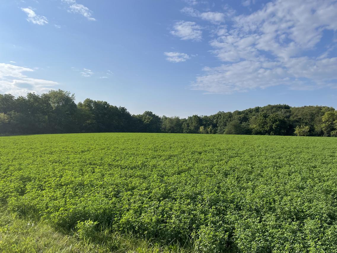 1575 Deer Path Ln., Franklin Grove, IL 61031