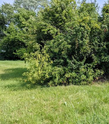 1613 Cherokee Dr., Round Lake Beach, IL 60073