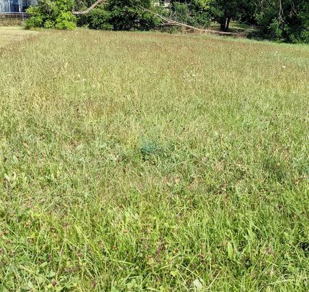 New Homes For Sale This Week That Attend Raymond Ellis Elementary School: August 6th to August 12th