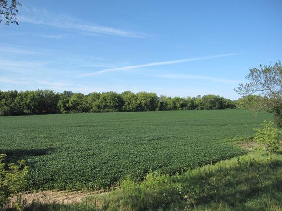 New Homes on 1+ Acres For Sale This Week in Pingree Grove: August 11th to August 17th