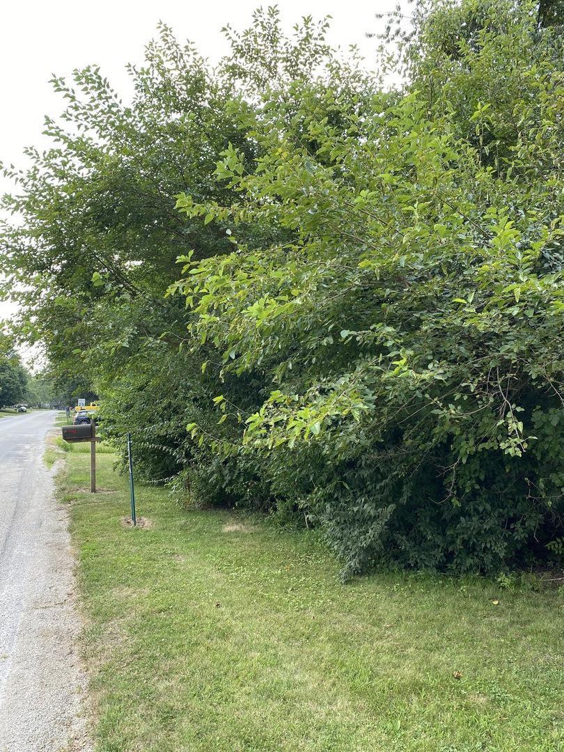 2246 Heather Hills Dr., St. Joseph, IL 61873