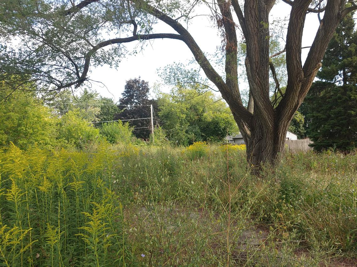 10242 W Ford Ave., Beach Park, IL 60099
