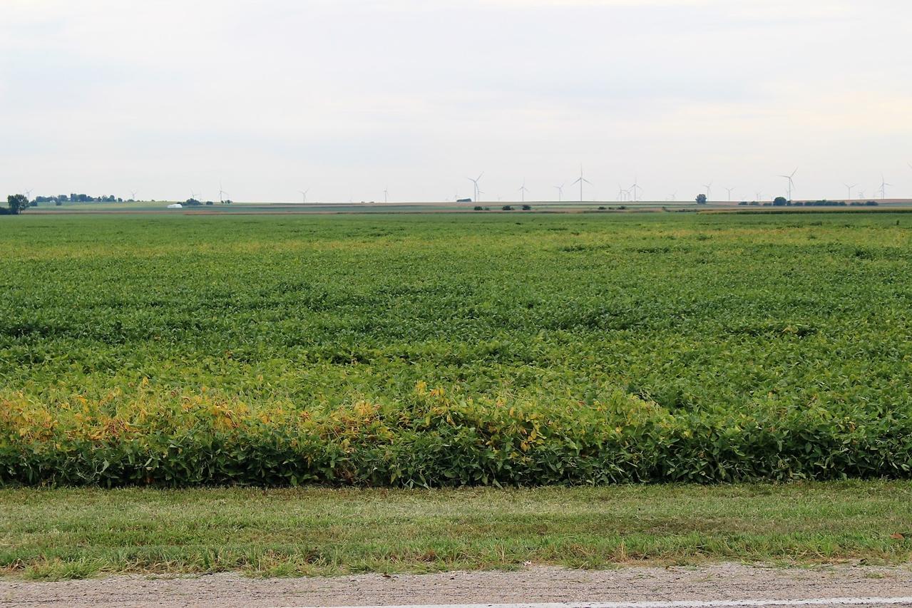3190 State Highway 54, Kenney, IL 61749