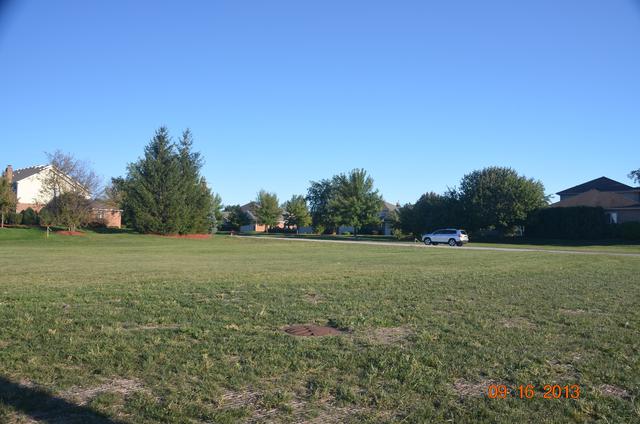 Vacant Hun Hunter Woods Dr., Frankfort, IL 60423