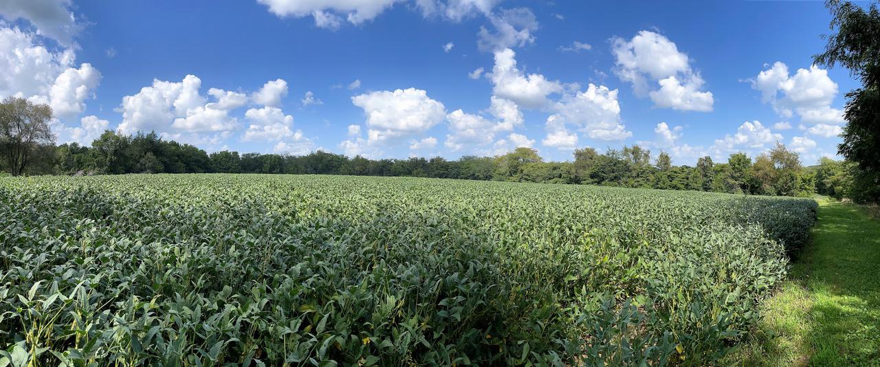 2276 E County Road 250n, Hindsboro, IL 61930