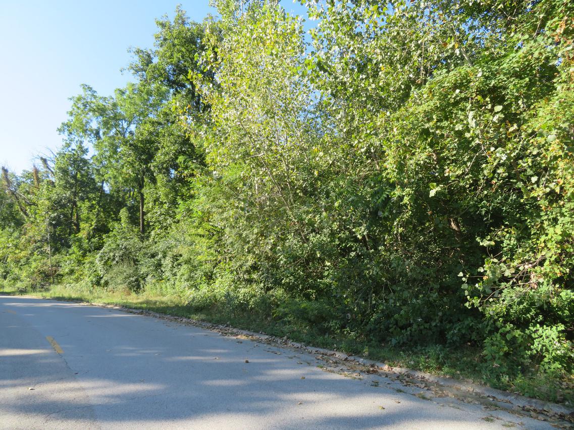 Lot 62 Shadow Wood Dr., Morris, IL 60450