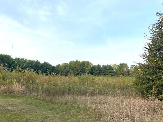 1873 Wildcat Ct., Dixon, IL 61021