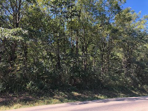 LOT 586 Lake Thunderbird Dr., Putnam, IL 61560