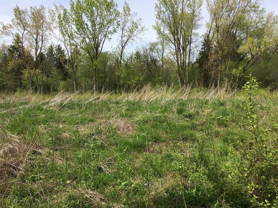 Lot 4 E. Mundhank Rd., South Barrington, IL 60010