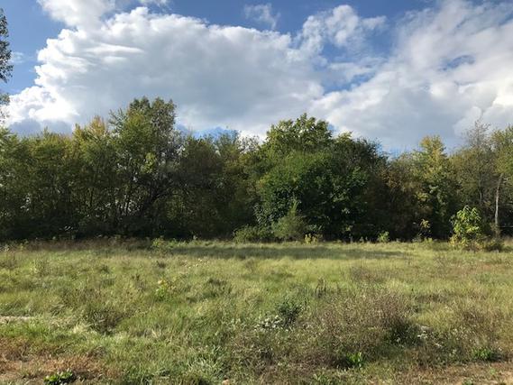 Lot 117 Wauconda Rd., Mchenry, IL 60051