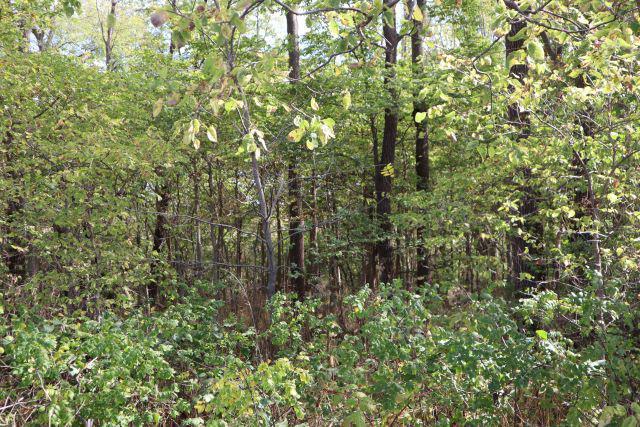 New Homes For Sale This Week in Dixon: October 15th to October 21st