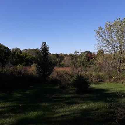 6295 Ravine Ct., Yorkville, IL 60560