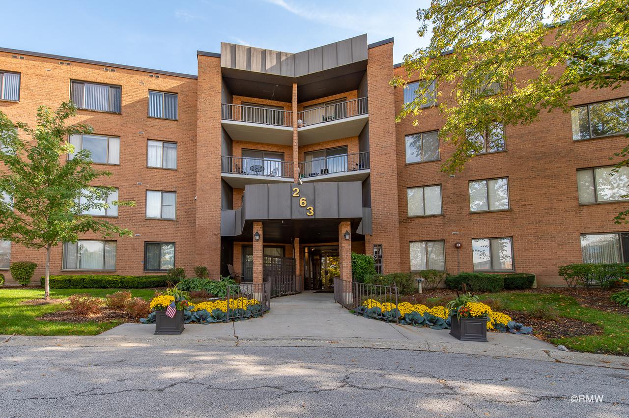 263 S Clubhouse Dr. #321, Palatine, IL 60074
