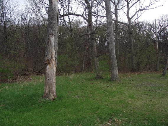 lot 012 Tuscola Ave., St. Charles, IL 60174