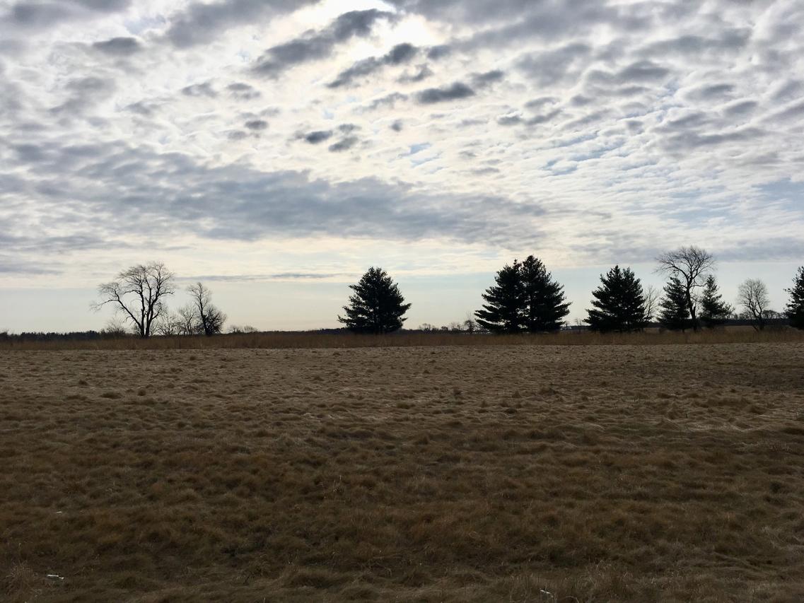 Lot #48 E Longwood Dr., Woodstock, IL 60098