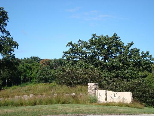 Lot #47 E Longwood Dr., Woodstock, IL 60098