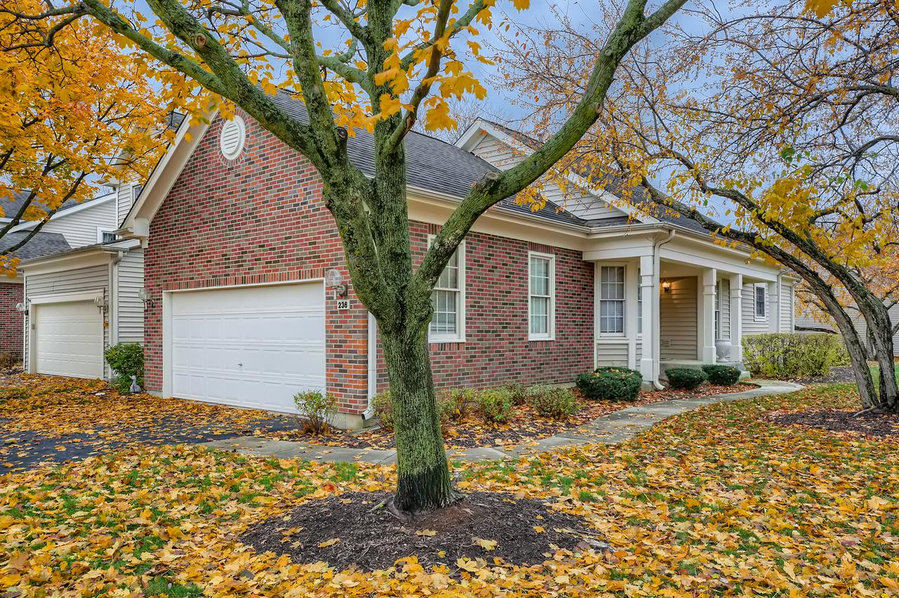 236 Parktrail Ct., Schaumburg, IL 60173