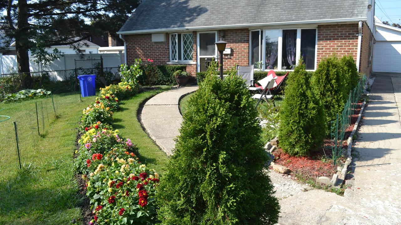 4516 Abbott Ter., Lyons, IL 60534